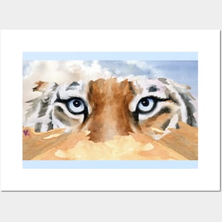 Eyes of the tiger Posters and Art